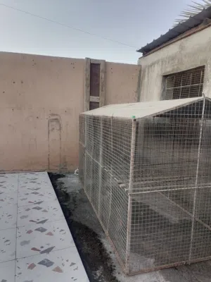 قفص طيور للبيع