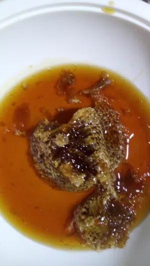 عسل ابو الطويق