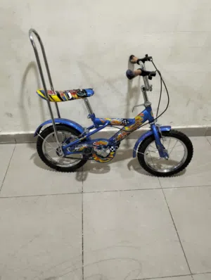 CHAMPION Cycle