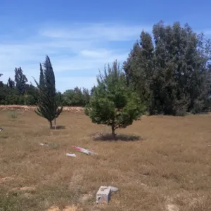 مسوق  . تاجر حر