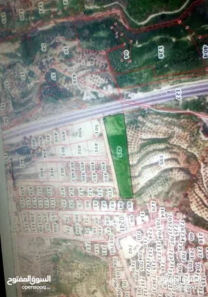 Farm Land for Sale in Jerash Nihla