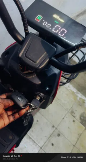 electric ibike