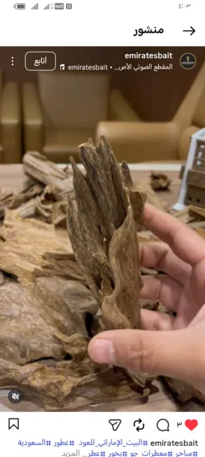 خشب عود ودهن عود اصلي