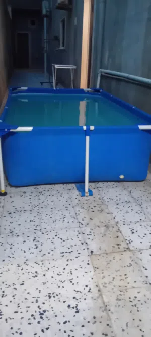 حوض سباحة للبيع