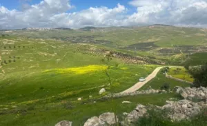 Farm Land for Sale in Zarqa Al-Alouk