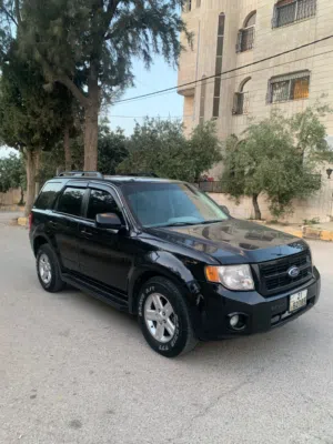 Used Ford Escape in Irbid