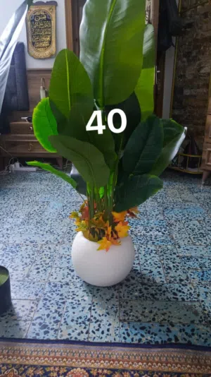 زرع اصطناعي للزينه