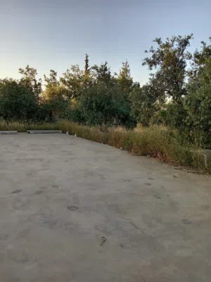 Residential Land for Sale in Amman Naour
