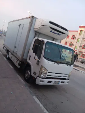 دينا ايسوزو شاصي طويل