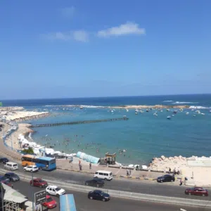 مدحت الحناوي 