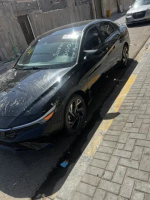 النترا2024
