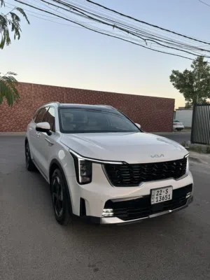 سورنتو 2025 رقم اربيل
