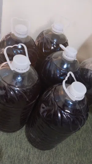 زيت زيتون للبيع