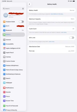 Apple iPad Pro 11 256 GB in Tripoli