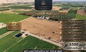 رقم الاعلان (7218) وحدة زراعية نموذجية بمواصفات ملكية - غور الرامة