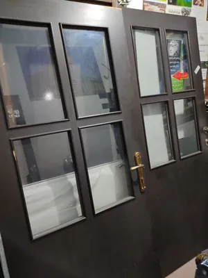 Doors1
