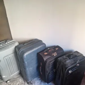 Other Lacost for sale  in Amman