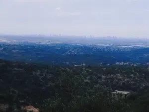 فرصة مميزة للأستثمار  ارض للبيع في بلدة بلعا - طولكرم
