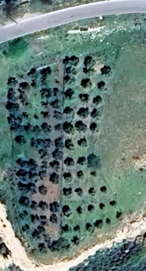 Farm Land for Sale in Amman Mahes