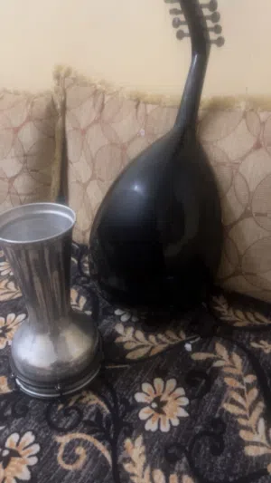 عود شوبر لوكس مصري مع مرواس