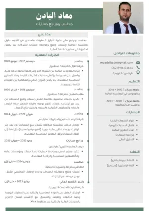 محاسب ومراجع حسابات
