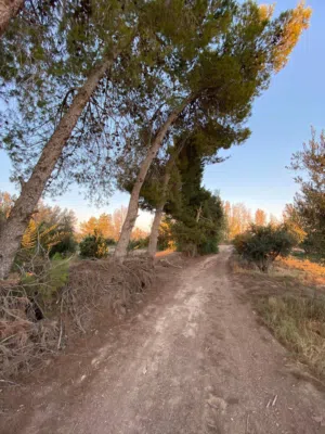 Farm Land for Sale in Zarqa Azraq