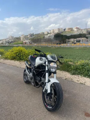 Ducati monster