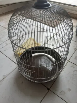قفص طيور للبيع