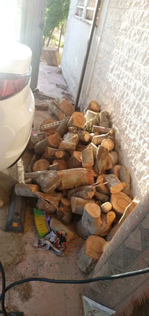 فحم كينا للبيع اربد ايدون