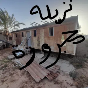 كرنفال للبيع
