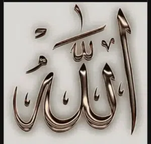 محمد مهني 