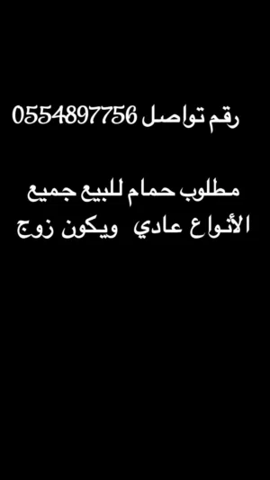 حمام للبيع