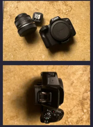 Canon r50 mirrorless