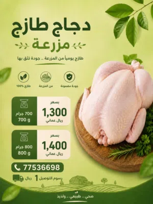 متوفر دجاج طارج ذبح يومي