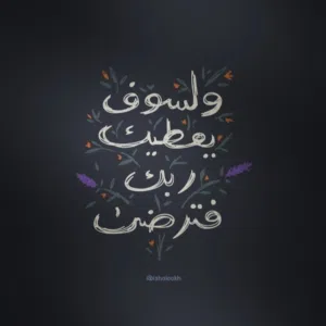 علاء ملحم أبو عبدالله 