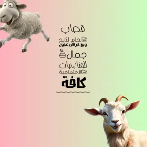 قصاب لحام لذبح وبيع خرفان عجول للمناسبات الاجتماعية كافة