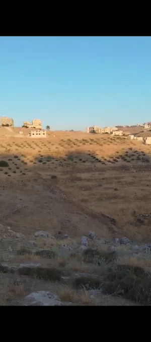 أرض للبيع ممتازة بسعر مغري البيادر الدربيات
