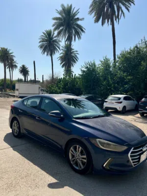 Used Hyundai Elantra in Baghdad