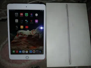ipad-4-mini