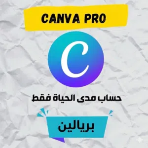 Accounts - Others Accounts and Characters for Sale in Al Sharqiya