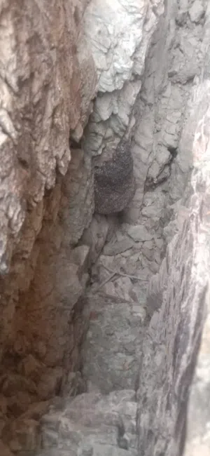 عسل ابوطويق