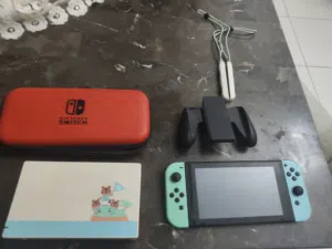 Special Edition Animal Crossing Nintendo Switch + case