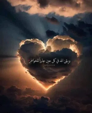 ايناس علي 