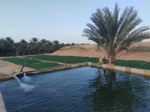 مزرعة كبيرة منتجه بها ابار ذات جودة ووفرة  في الماء