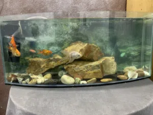 حوض سمك للبيع