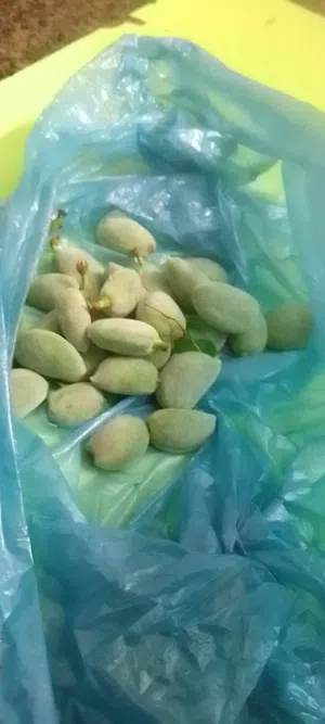 ايمن 