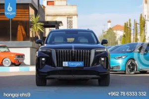 Hongqi EHS9 2023