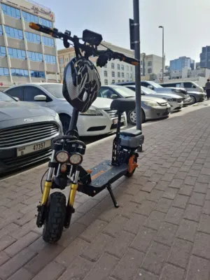 SCOOTER Really M5-PRO MAX