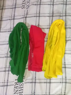 دوليغ حراس طويله