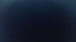 احتاج كلاب للتبني حراسه او زينه